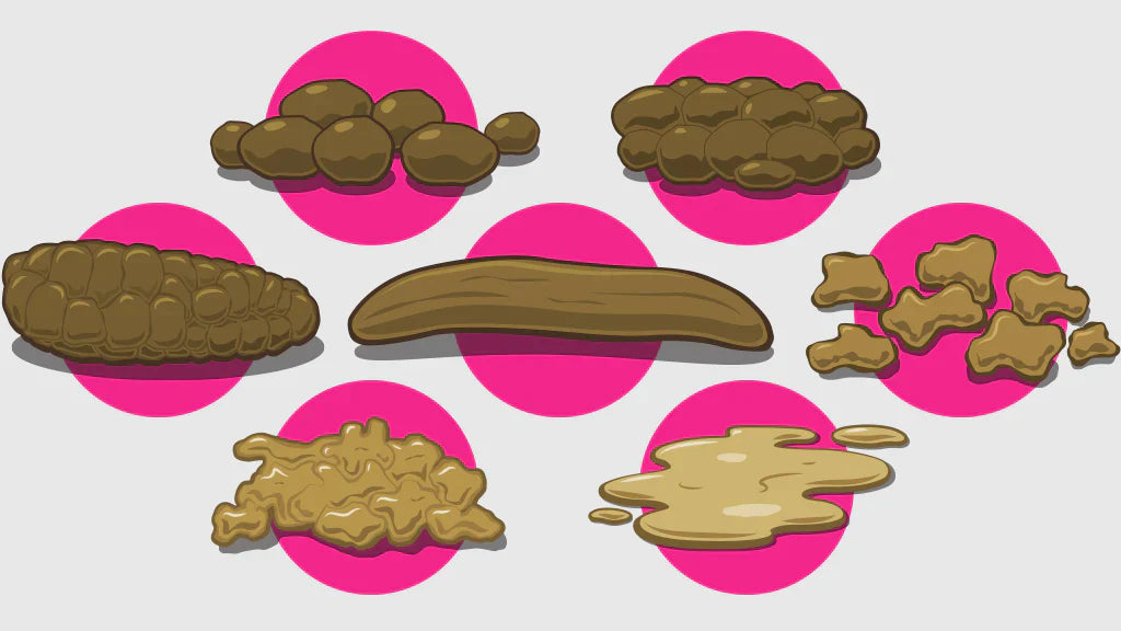 What Does a "Perfect Poop" Actually Look Like?