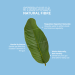 TUMME Natural Fibre — Key Benefits for Digestive Health